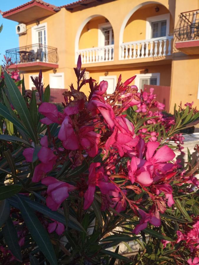 Residence Ionian St&Apts Argostoli  Exterior photo